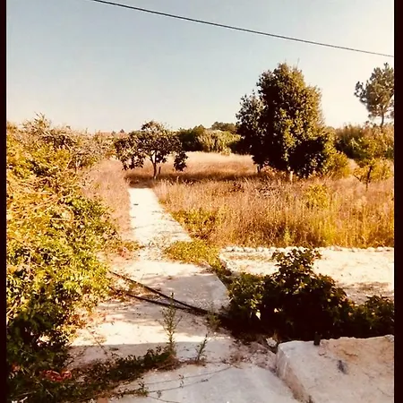 Quintessence Nature Estate * Maria Vinagre