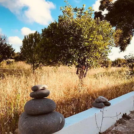منزل ريفي Quintessence Nature Estate Maria Vinagre